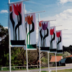 Flag designs were introducced as a way to promote community work in the local area Flags designed to promote the tulip festival in Bowral